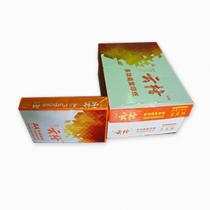 雲格 A4系列複印紙