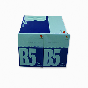 博韻 B5系列複印紙